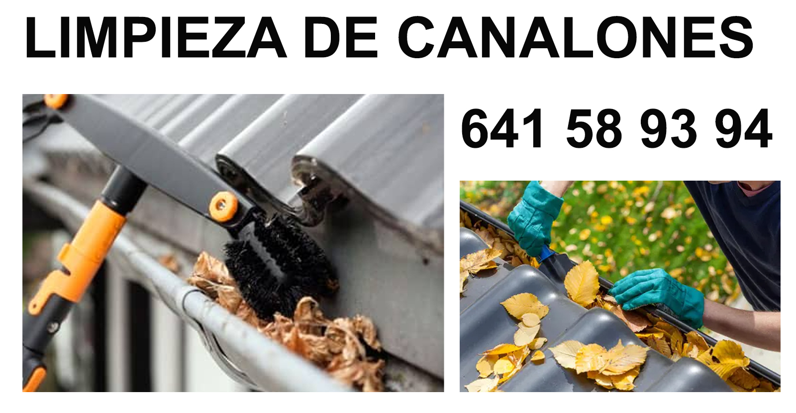 Servicios de limpieza de canalones baratos en Gernika-lumo