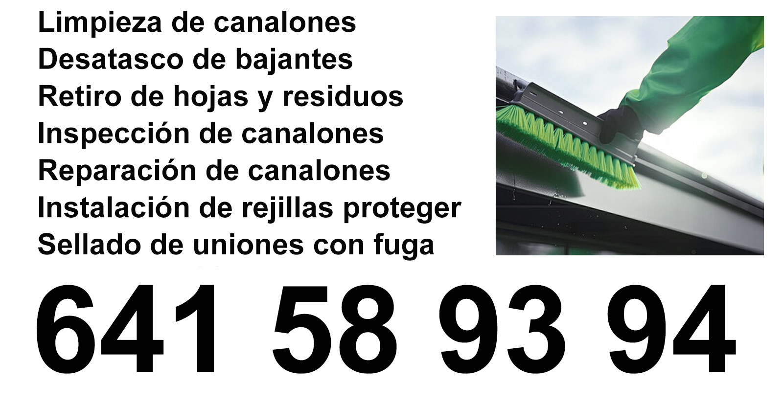 Instalación y mantenimiento de canalones en Gernika-lumo